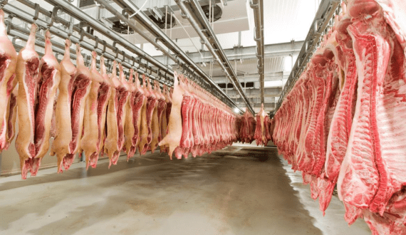 Thumbnail for Himmaleh Spirits launches Neoli, the first pure white Himalayan rum