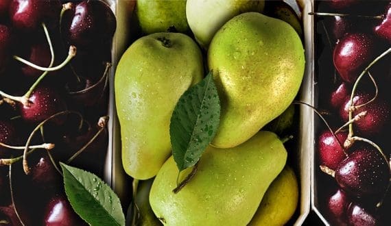 Thumbnail for CMA CGM, Mistral AI sign US$110M deal to improve shipping efficiency