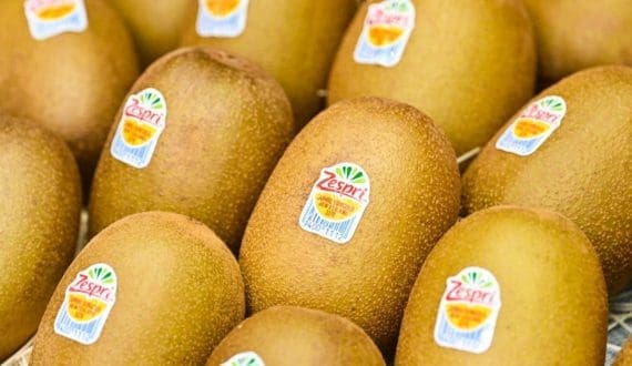 Thumbnail for Food safety experts empowered on Good Laboratory Practices for animal disposition studies