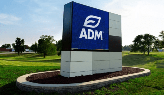 Thumbnail for GTRI urges overhaul of India’s import tariffs, customs regime to cut trade costs and boost exports 