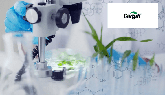 Thumbnail for Morocco breaks carrot export record for fifth straight year