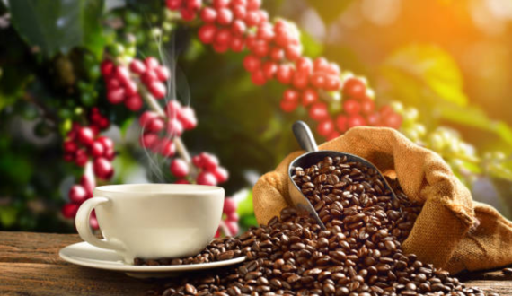 Thumbnail for China grants market access to 183 Brazilian coffee exporters amid rising U.S. tariffs 