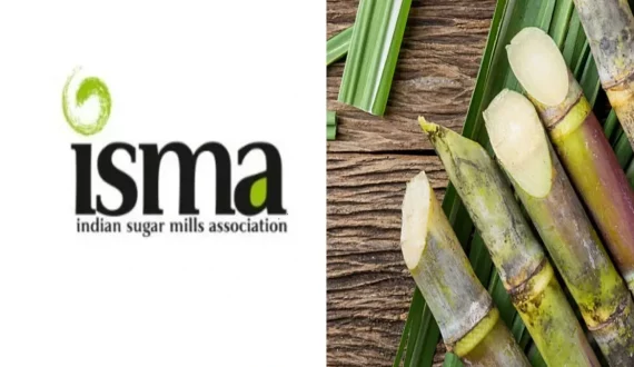 Thumbnail for Guylian expands product line with new caramel sea salt flavour chocolate