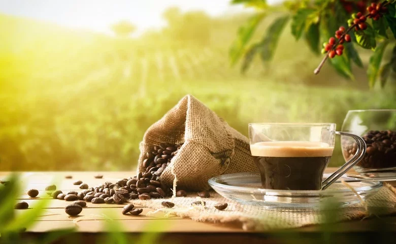 Thumbnail for Global beverage prices surge on cocoa and coffee declines – World Bank 