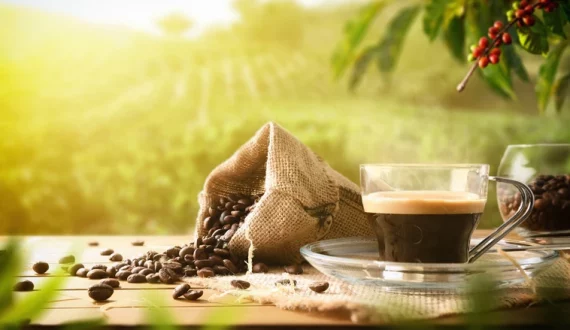 Thumbnail for Global beverage prices surge on cocoa and coffee declines – World Bank 
