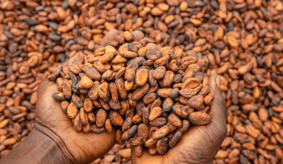 Thumbnail for Varun Beverages begins operations at new India plant ahead of peak summer season 