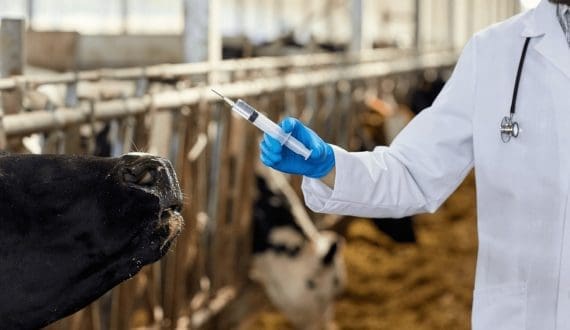 Thumbnail for Uganda accelerates coffee farmer registration to meet EU deforestation regulation compliance 