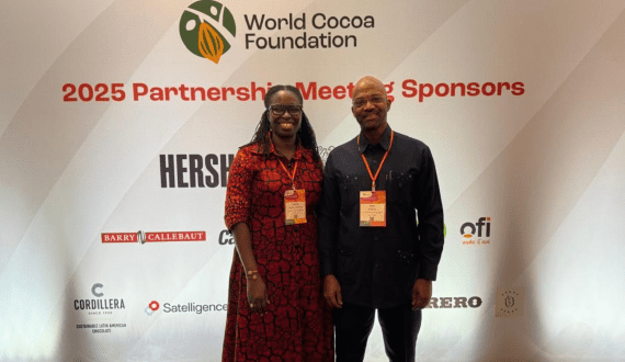 Thumbnail for DS Group expands its confectionery products with new Pulse Golmol Imli flavour