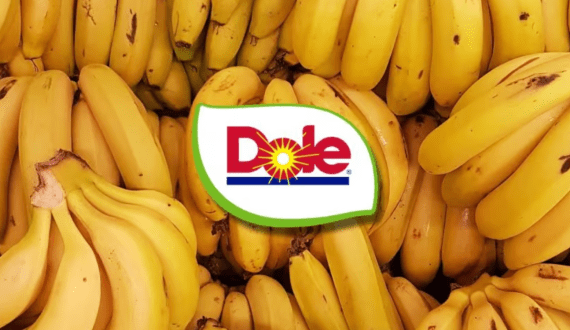 Thumbnail for Dole secures US$1.2B refinancing deal to support growth