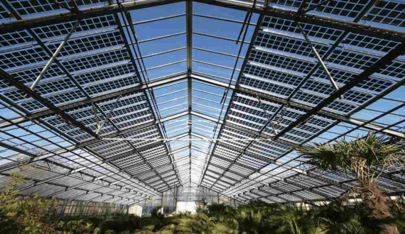 Thumbnail for Silal expands agricultural innovation with solar greenhouses