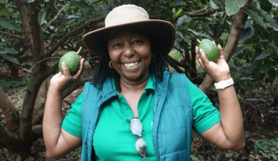 Thumbnail for Karakuta opens new packhouse to boost Kenya’s avocado exports