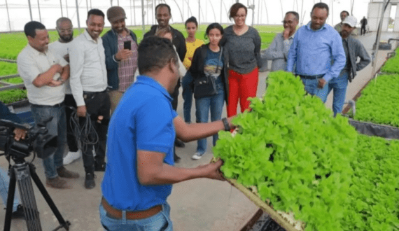 Thumbnail for Ethiopia set to launch ‘Horti-Campus’ E-Learning platform for horticulture