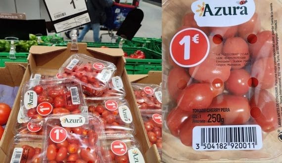 Thumbnail for Morocco’s tomato exports face scrutiny over mislabeling in Spanish supermarkets