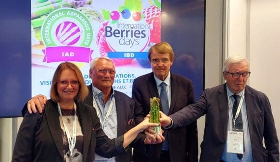 Thumbnail for New asparagus and berries trade fair in Bordeaux announced at Macfrut 2025