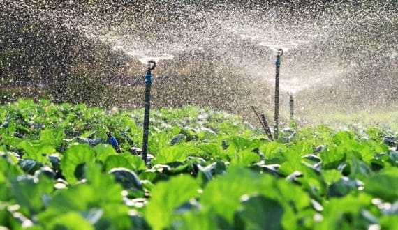 Thumbnail for Tanzania, Burkina Faso push forward with irrigation plans to support farmers
