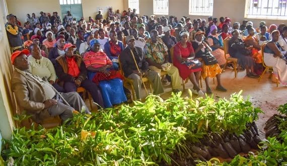 Thumbnail for Kenya’s Nakuru County backs avocado farming to boost rural incomes and food security