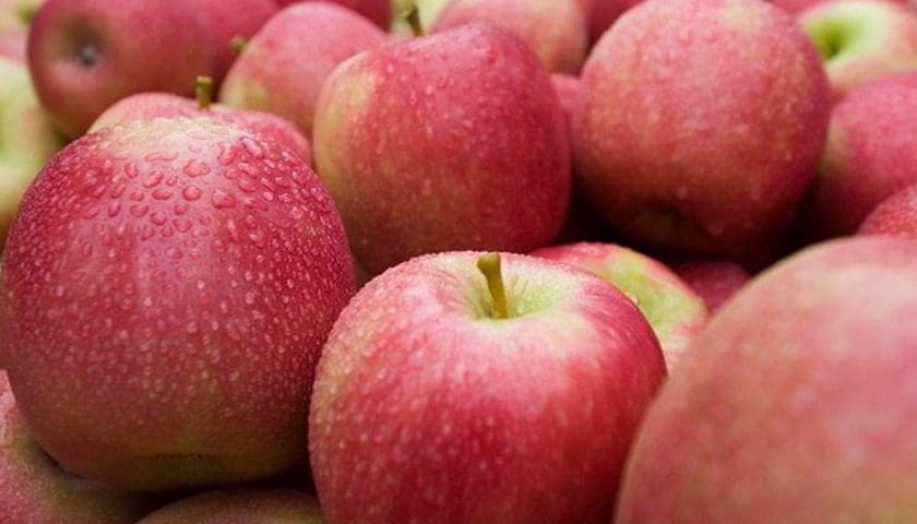 Thumbnail for Counterfeit Pink Lady apples flood Uzbekistan supermarkets