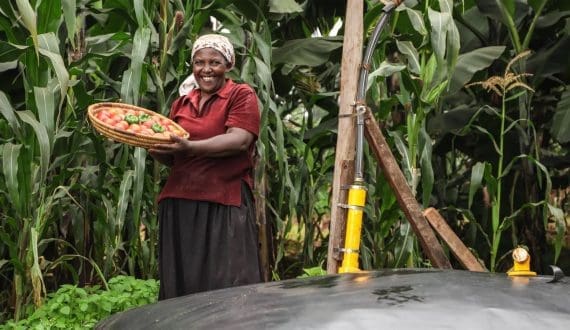 Thumbnail for Swedfund boosts African climate tech and agriculture innovation with strategic investments 