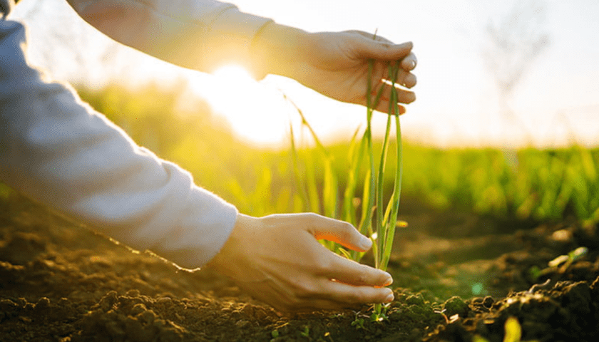 Thumbnail for IFF completes US$2.85B sale of Pharma Solutions to Roquette