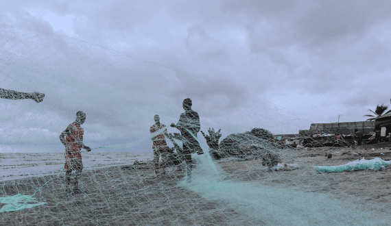 Thumbnail for Cameroon joins international fisheries charter to improve transparency