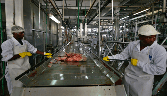 Thumbnail for China suspends meat imports from South Africa amid Foot-and-Mouth Disease outbreak