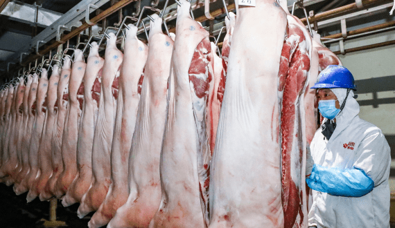 Thumbnail for US pork exports to Mexico increase by 11% in first quarter