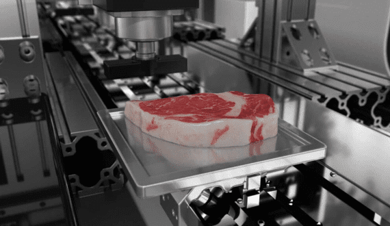 Thumbnail for Germans are becoming more open to eating 3D-printed cultivated meat – survey