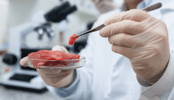 Thumbnail for Nebraska becomes sixth state banning cultivated meat production, sales