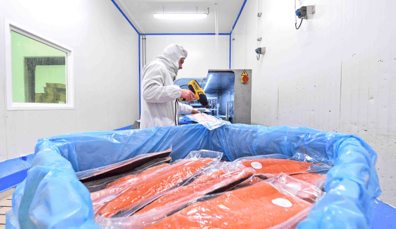 Thumbnail for HKFoods warns of ongoing beef supply pressure in Finland