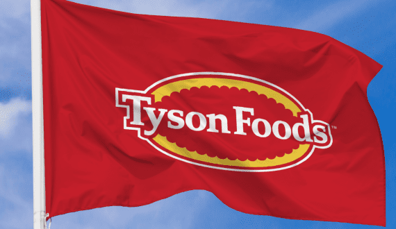 Thumbnail for World Bank’s US$105M project takes shape to develop poultry, aquaculture in Congo