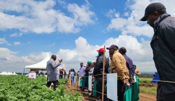 Thumbnail for Dabur India exits non-core categories, plans aggressive M&A and premiumisation to drive future growth 