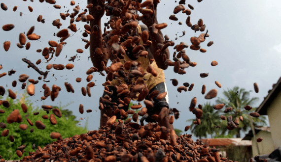 Thumbnail for Malaysia to roll out nutri-grade labelling system to curb sugar consumption 