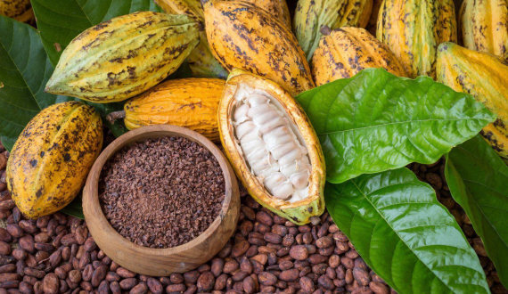 Thumbnail for Kasapreko PLC reports 52% surge in Q1 2025 revenue, triples net profit 