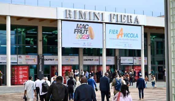 Thumbnail for Macfrut 2025 draws record crowds and fresh innovations to Rimini