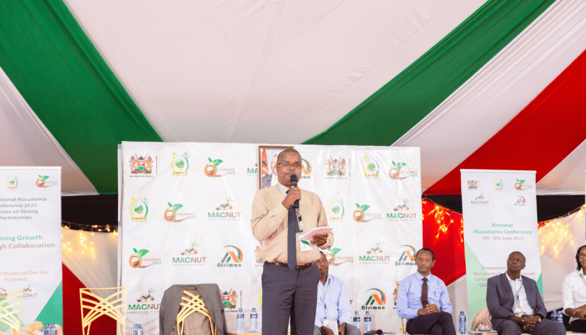 Thumbnail for Kenyan macadamia sector rallies stakeholders to strengthen local consumption and processing