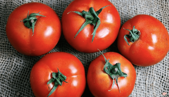 Thumbnail for FEPEX urges overhaul of Moroccan tomato entry prices amid soaring imports