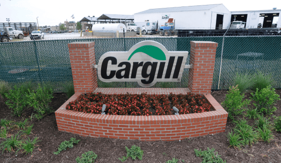 Thumbnail for Roark Capital to acquire Dave’s Hot Chicken with US$1B investment