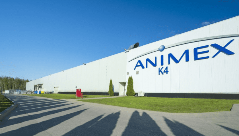 Thumbnail for Poland’s meat producer Animex merges subsidiaries under new identity