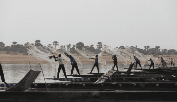 Thumbnail for MSC commits US$6M to support sustainable fishing practices