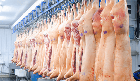 Thumbnail for China’s meat sector faces oversupply, price slumps in 2025