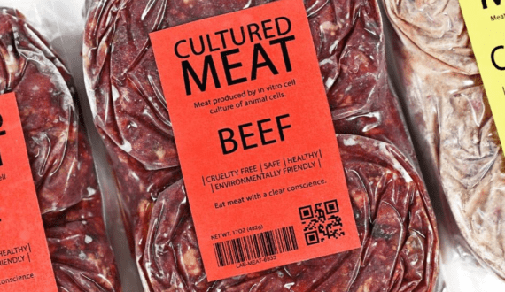 Thumbnail for Texas becomes the latest state to ban cultivated meat in the US