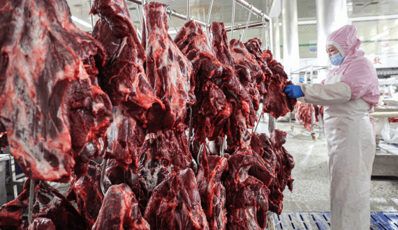 Thumbnail for Ghana risks losing access to EU fish market over unsanitary fishing practices