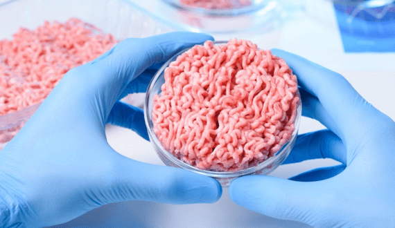 Thumbnail for Australia approves lab-grown quail meat for restaurant sale