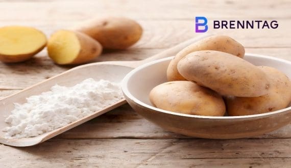 Thumbnail for Brenntag expands Avebe partnership to US market for specialty potato, protein ingredients