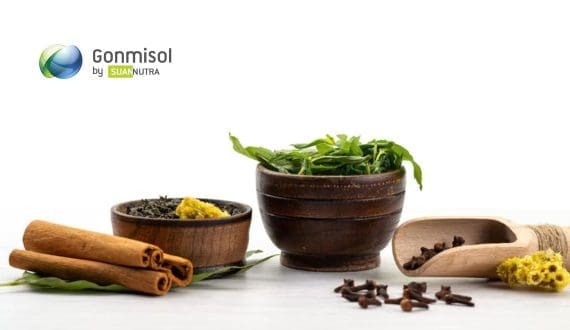 Thumbnail for Gonmisol, K. Patel partner for ayurvedic distribution across Europe