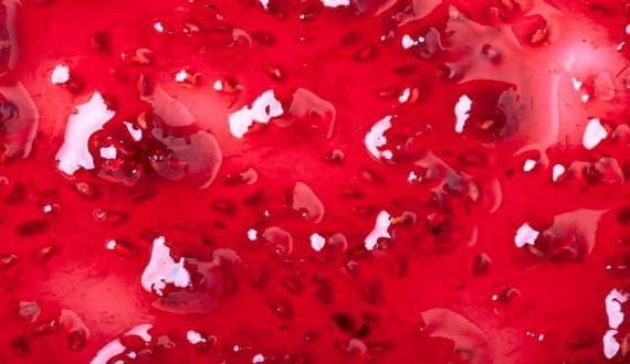 Thumbnail for Jungbunzlauer expands functional ingredients portfolio with new gellan gum, mineral innovations for gummies