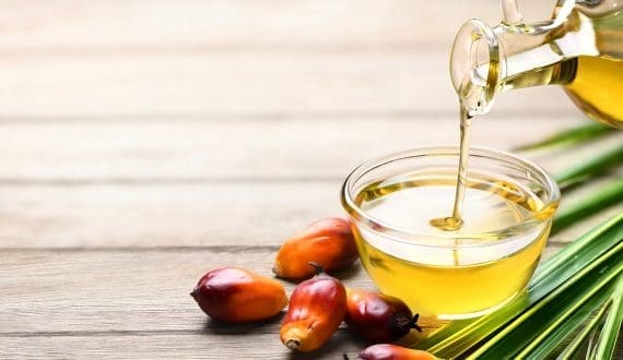 Thumbnail for Kenya’s palm oil imports to hit 1.05 million tonnes in 2025/2026 – USDA