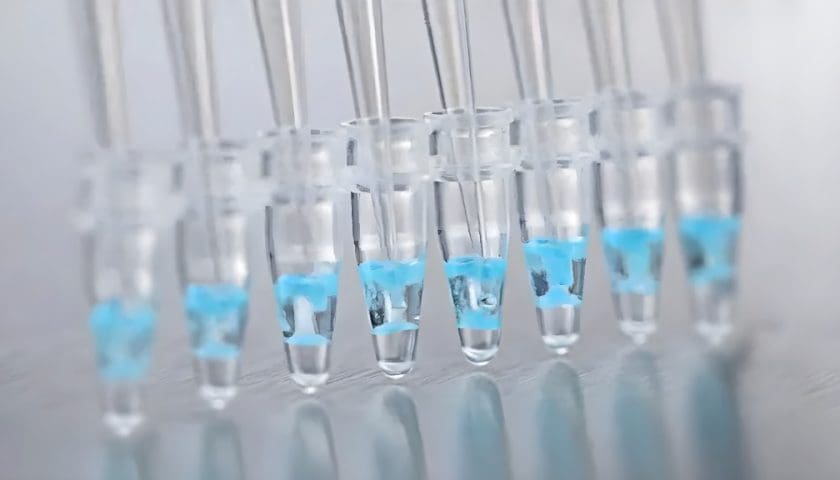 Thumbnail for Neogen launches Listeria Right Now™ for 2-hour Listeria verification