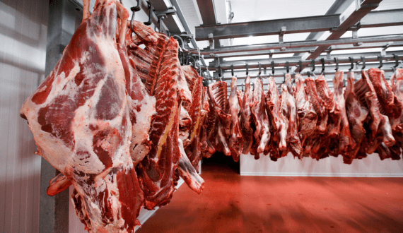Thumbnail for China reinstates tariffs on US meat exports