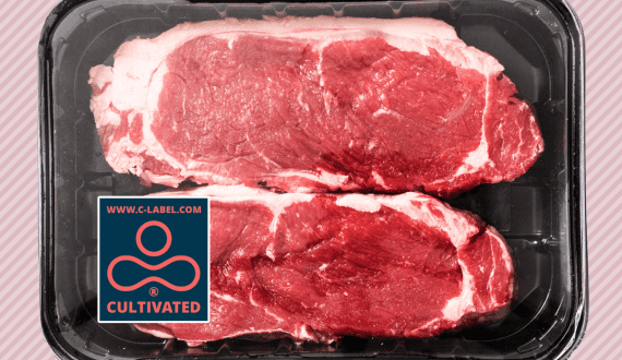 Thumbnail for EU consumers distinguishing cultivated meat from traditional products despite label concerns – Good Food Institute